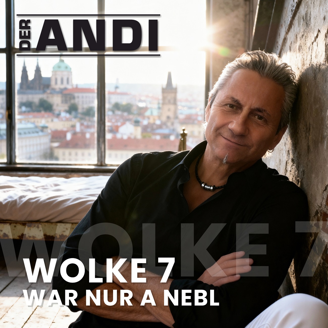 Der Andi - Wolke 7 - Cover 1300.jpg